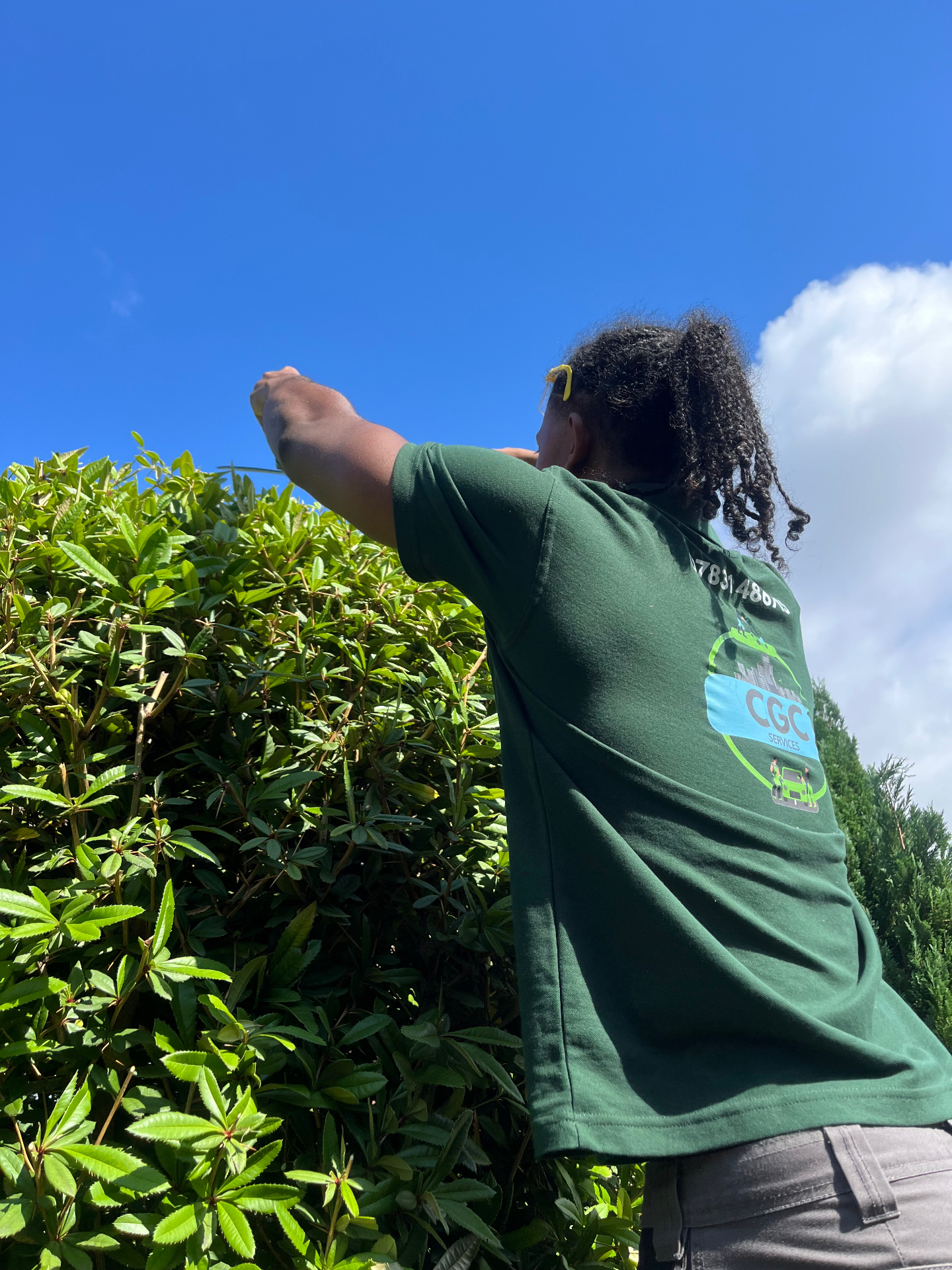 Garden Maintenance